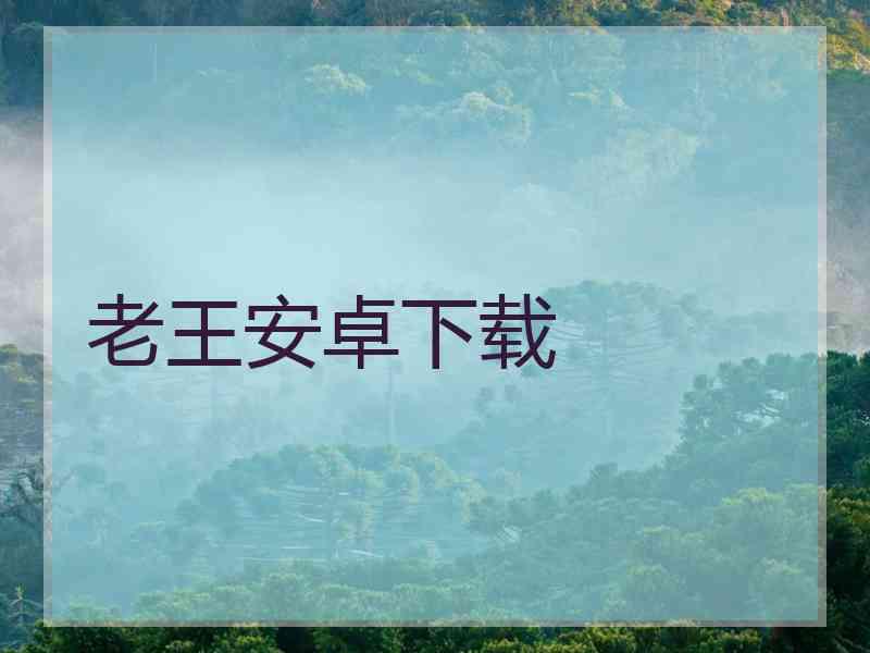 老王安卓下载