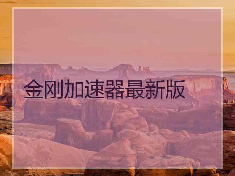 金刚加速器最新版