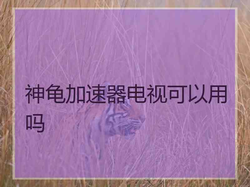 神龟加速器电视可以用吗