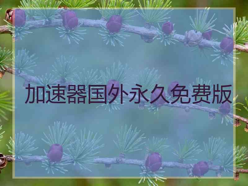 加速器国外永久免费版