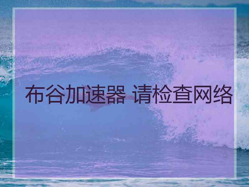 布谷加速器 请检查网络