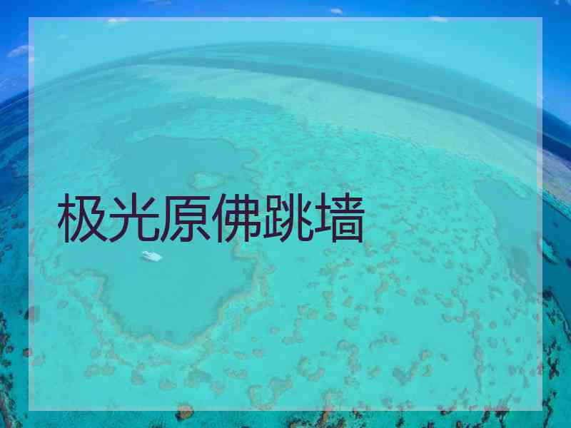 极光原佛跳墙