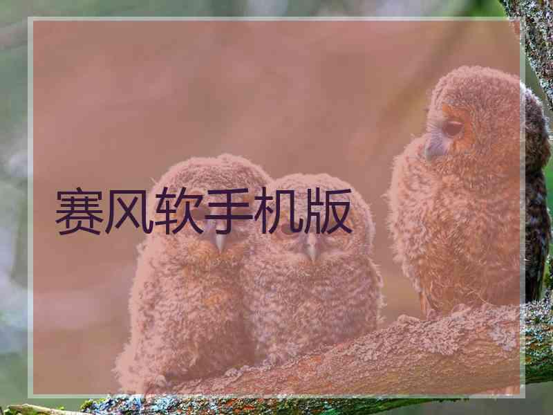 赛风软手机版