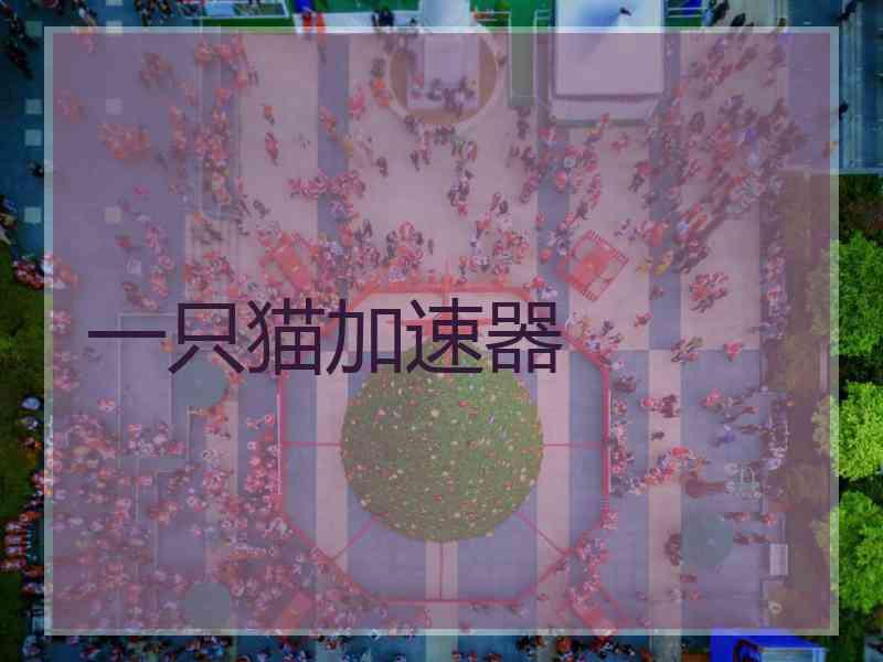 一只猫加速器