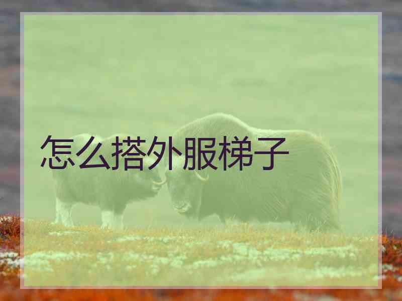 怎么搭外服梯子