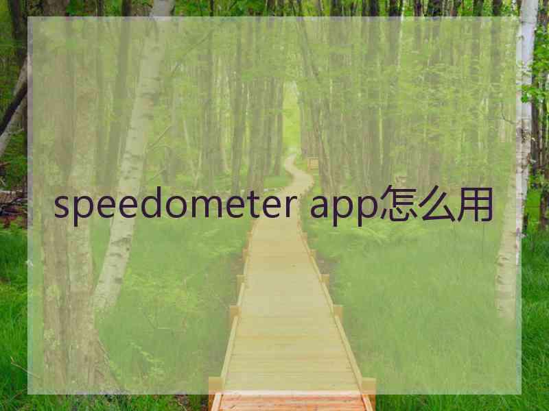speedometer app怎么用
