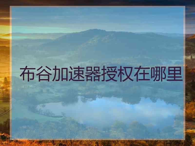 布谷加速器授权在哪里