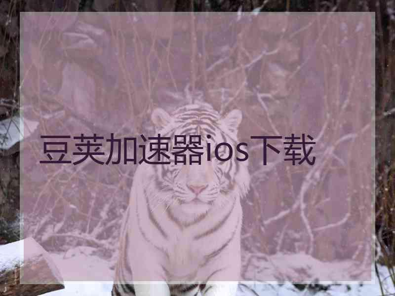 豆荚加速器ios下载