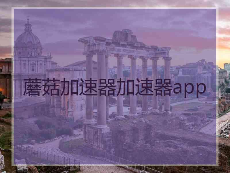蘑菇加速器加速器app