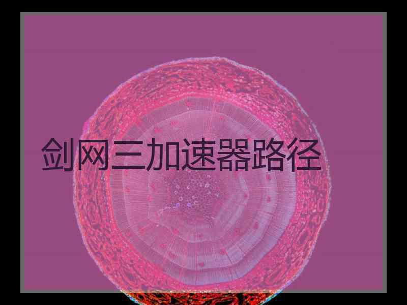 剑网三加速器路径