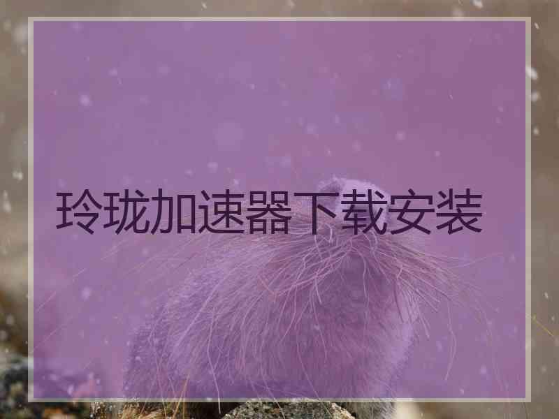 玲珑加速器下载安装