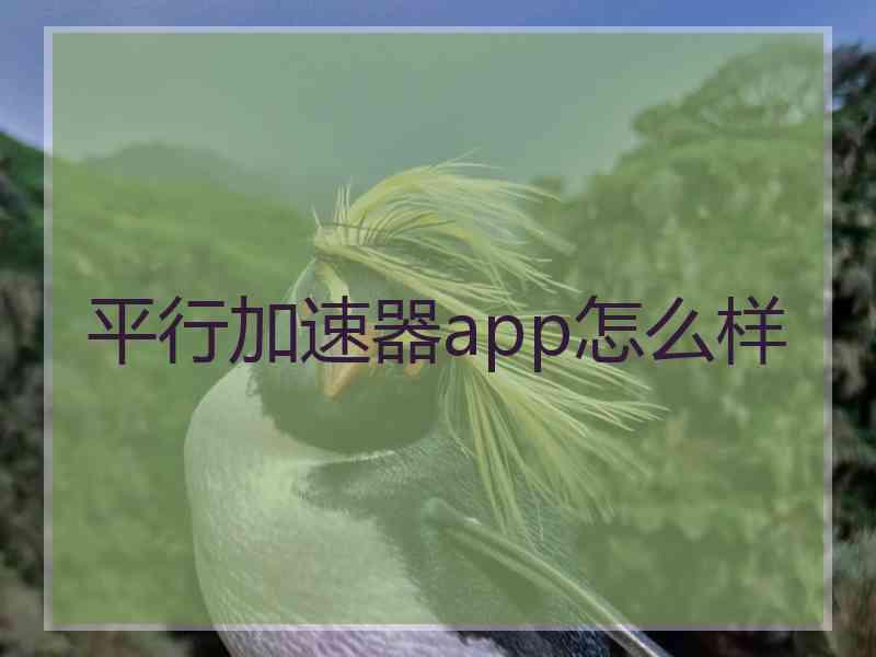 平行加速器app怎么样