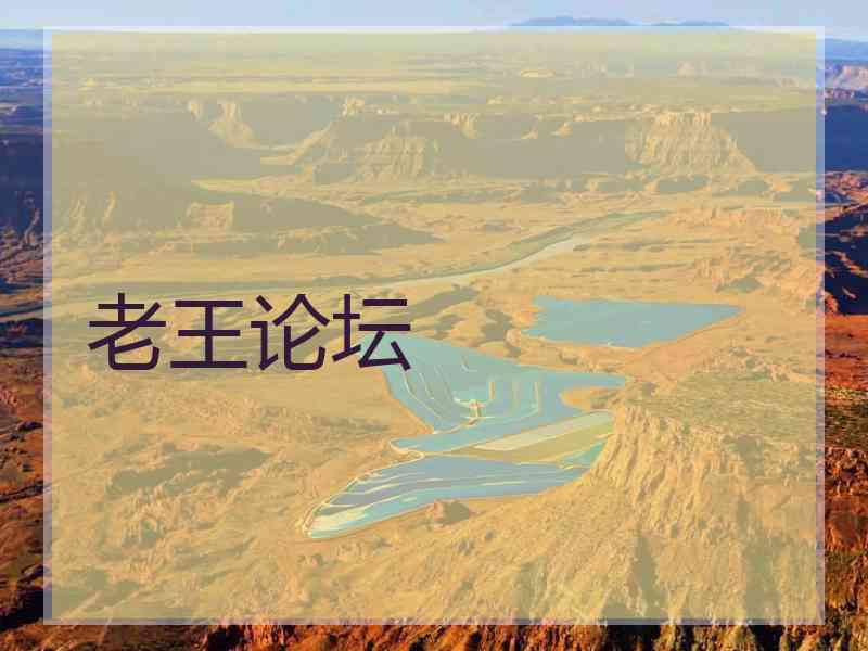 老王论坛