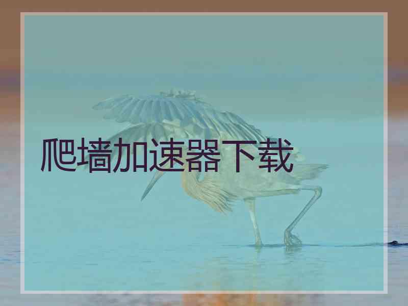 爬墙加速器下载