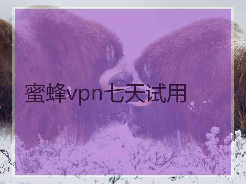 蜜蜂vpn七天试用