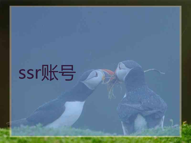 ssr账号
