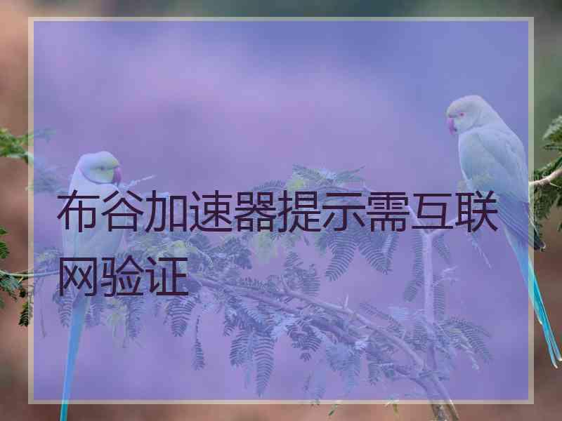 布谷加速器提示需互联网验证