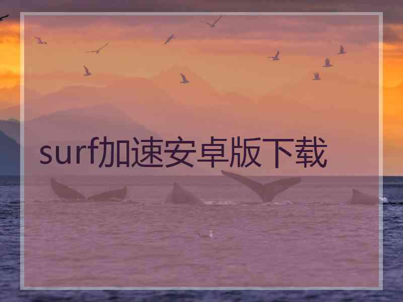 surf加速安卓版下载