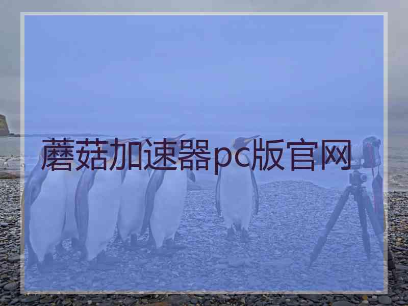 蘑菇加速器pc版官网