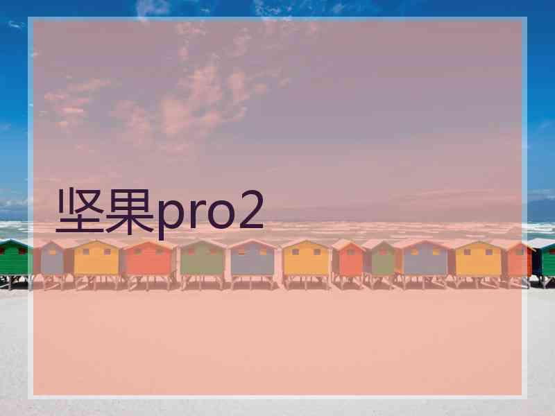 坚果pro2