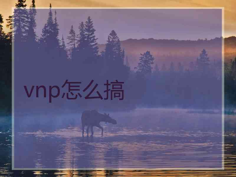 vnp怎么搞