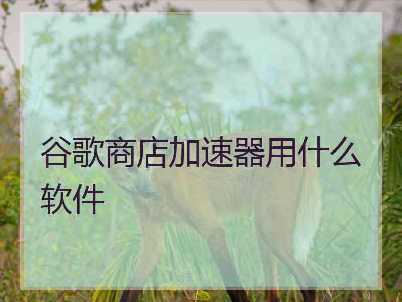 谷歌商店加速器用什么软件