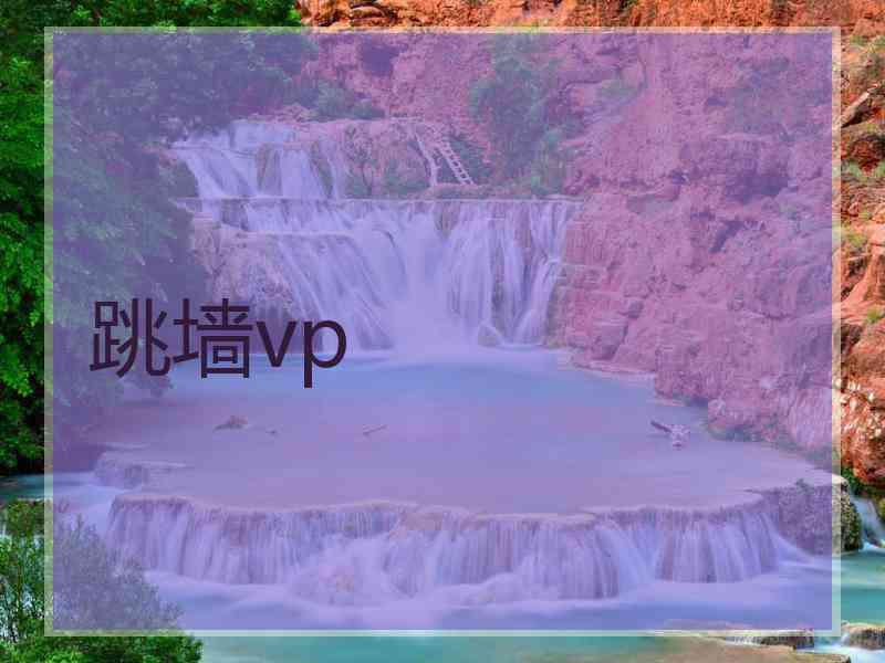 跳墙vp
