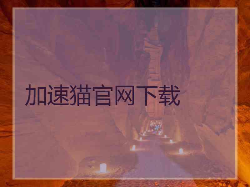 加速猫官网下载