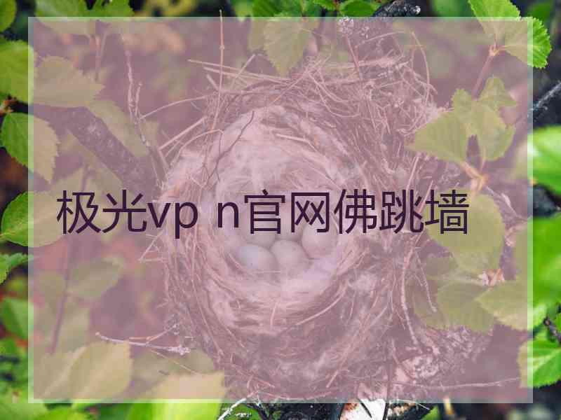 极光vp n官网佛跳墙