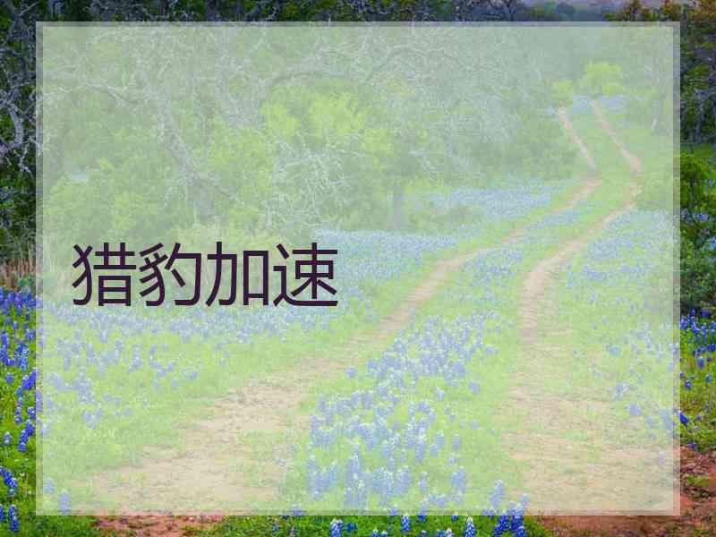 猎豹加速