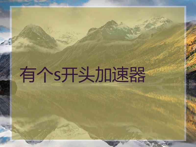 有个s开头加速器
