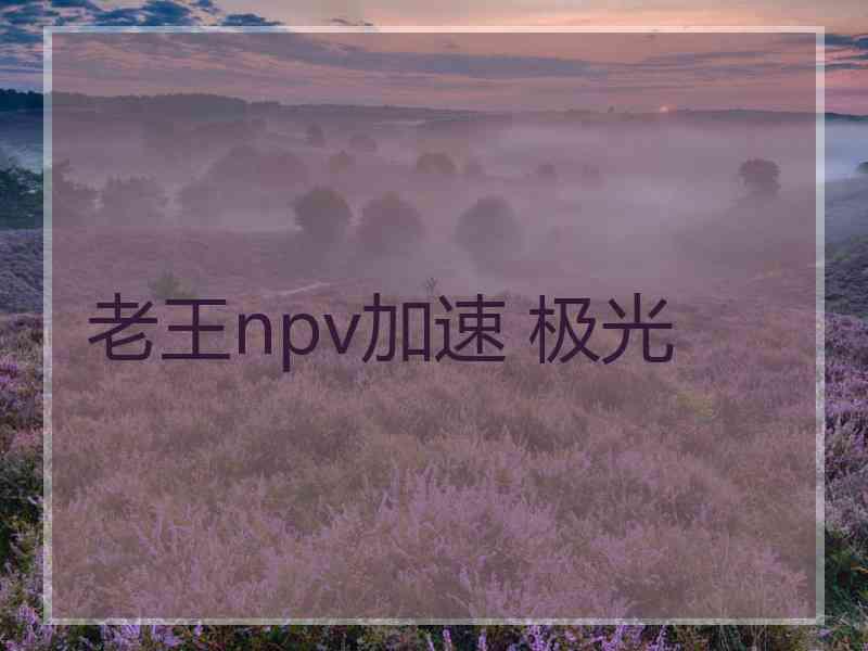 老王npv加速 极光