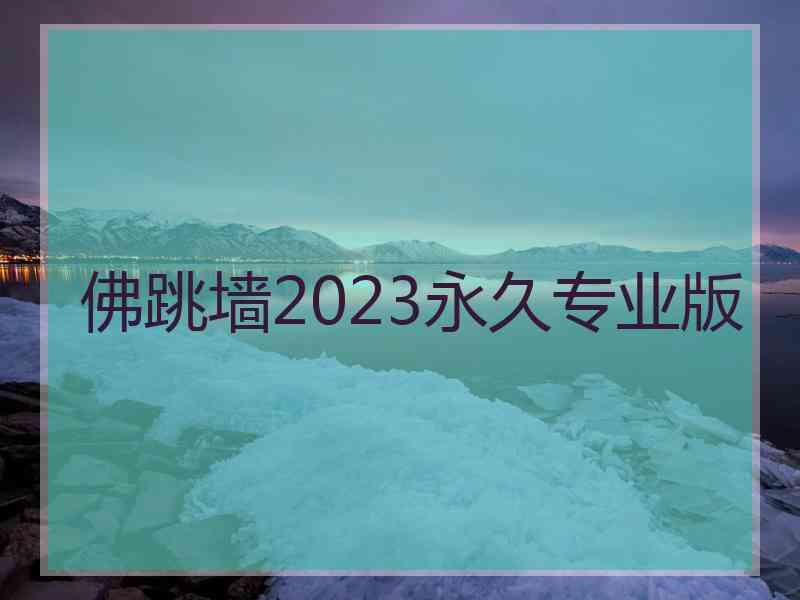 佛跳墙2023永久专业版