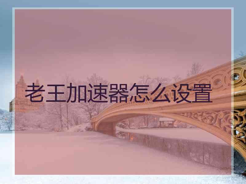 老王加速器怎么设置