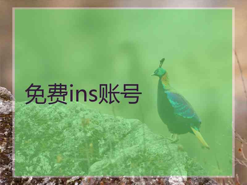 免费ins账号