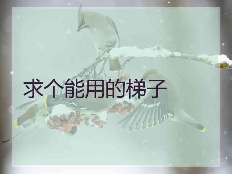 求个能用的梯子