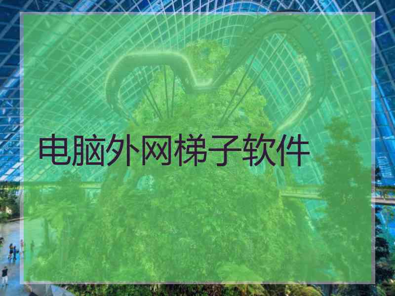 电脑外网梯子软件