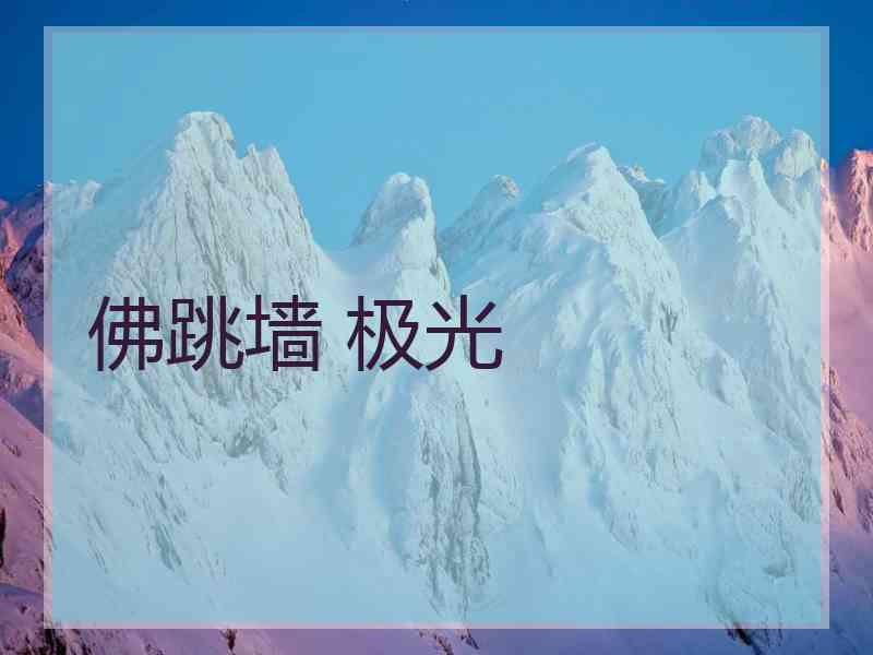 佛跳墙 极光