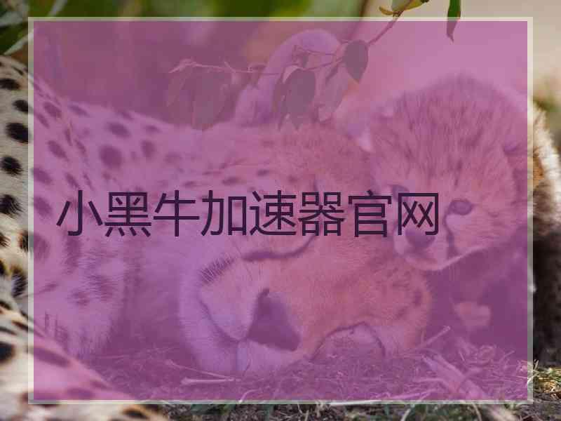 小黑牛加速器官网