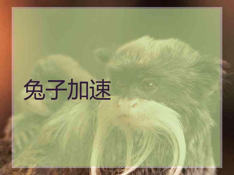 兔子加速