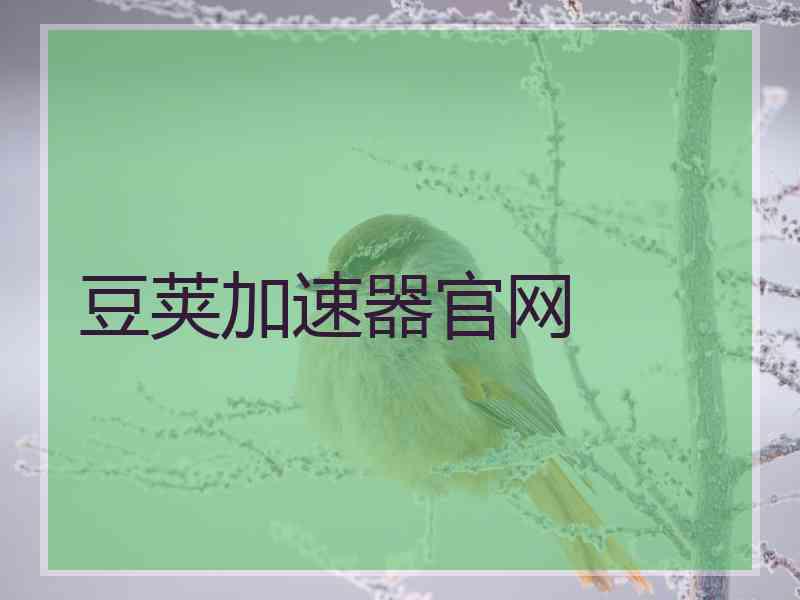 豆荚加速器官网