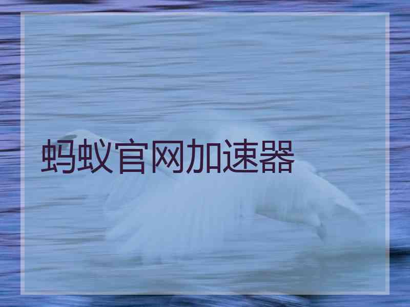 蚂蚁官网加速器