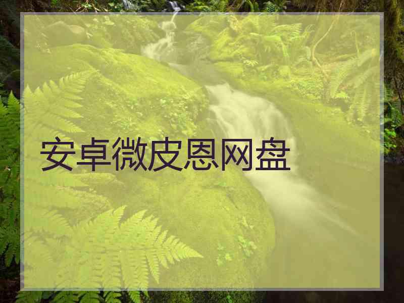 安卓微皮恩网盘