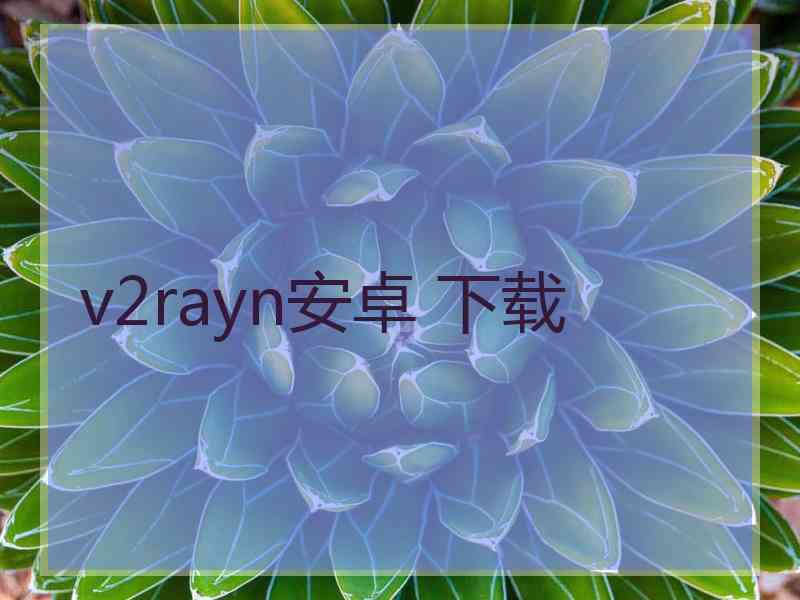 v2rayn安卓 下载