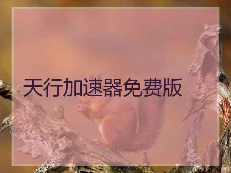 天行加速器免费版
