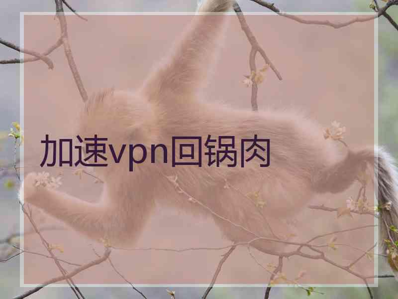加速vpn回锅肉