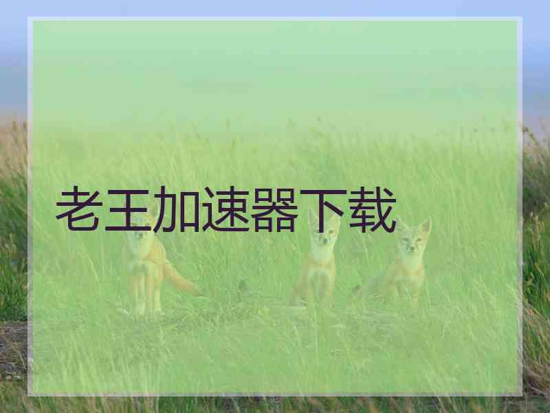 老王加速器下载