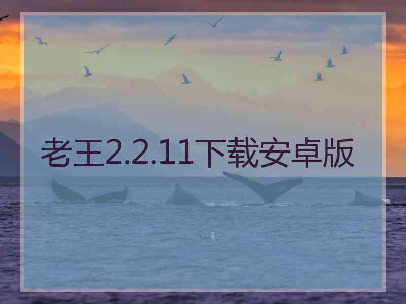 老王2.2.11下载安卓版