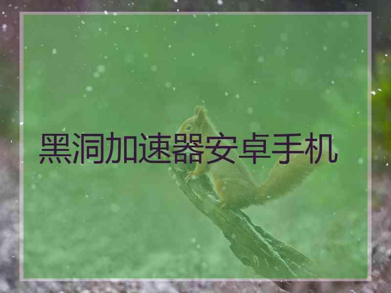 黑洞加速器安卓手机