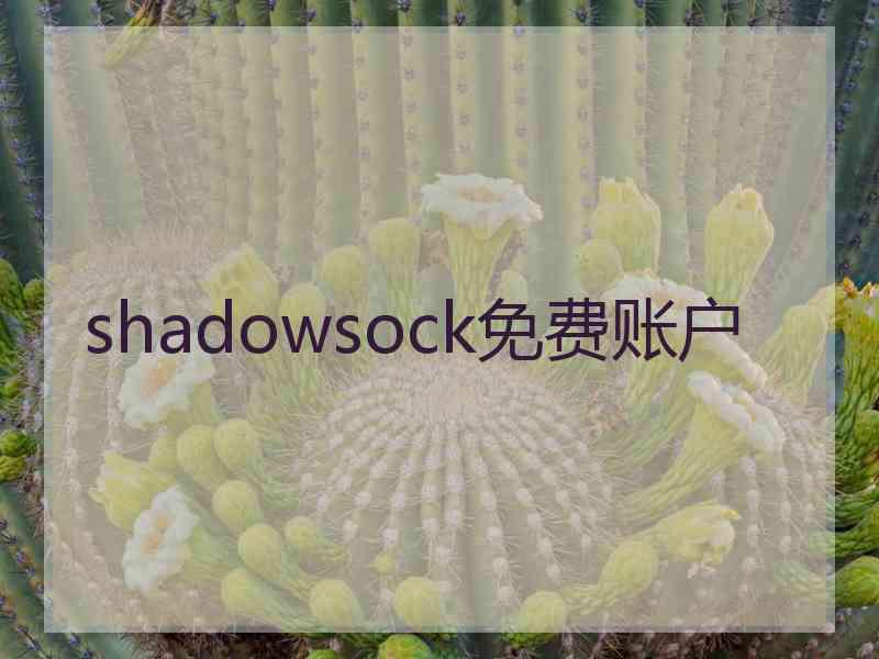 shadowsock免费账户